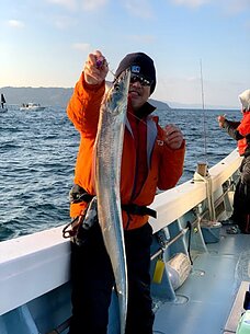 太刀魚