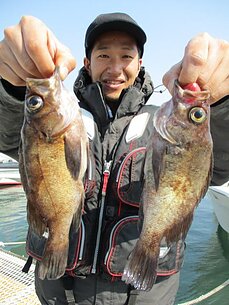 2017年3月19日　メバル