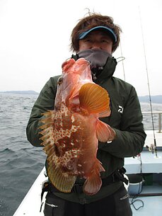 2017年3月24日　根魚テンヤ