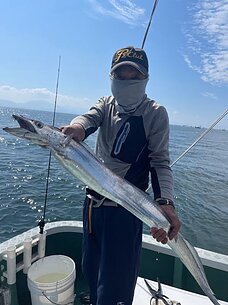 太刀魚