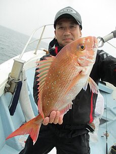 タイラバ・テンヤ