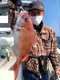 真鯛/太刀魚