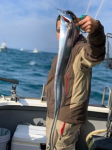 太刀魚便/タイラバ・テンヤ便