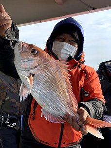 　タイラバ・テンヤ便/太刀魚便