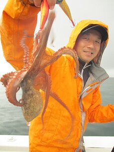 2017年7月19日　マダコ・タイラバ