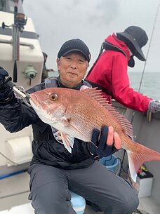 真鯛
