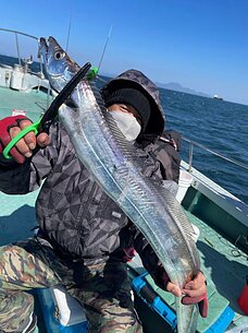 太刀魚