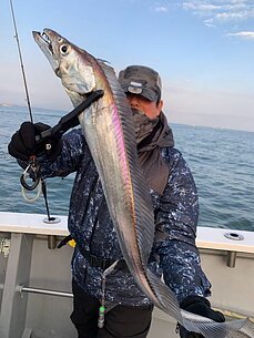 太刀魚