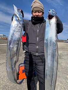 太刀魚