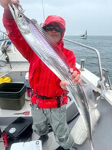 太刀魚