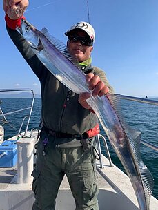 太刀魚
