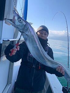 太刀魚