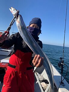 太刀魚