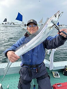 太刀魚