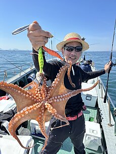 マダコ・太刀魚リレーのイメージ