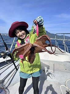 マダコ