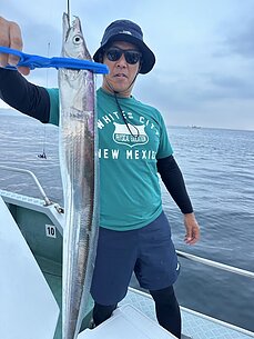 太刀魚
