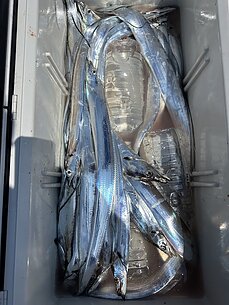 太刀魚
