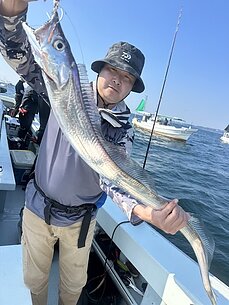 太刀魚