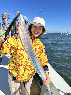 太刀魚