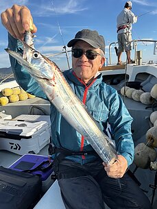 太刀魚