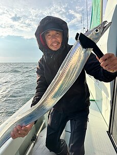 太刀魚