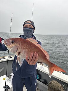 真鯛