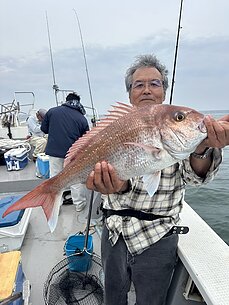 真鯛