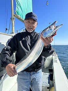 太刀魚