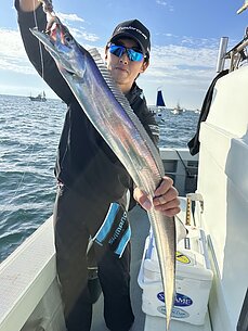 太刀魚
