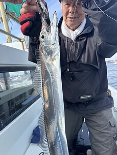 太刀魚