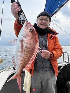 真鯛