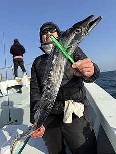 太刀魚