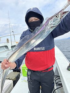 太刀魚