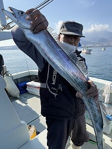 太刀魚