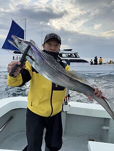 太刀魚