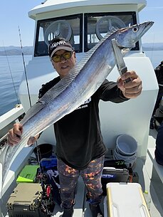 太刀魚