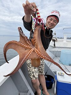 マダコ