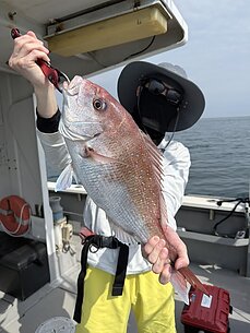 太刀魚・真鯛アジリレーのイメージ