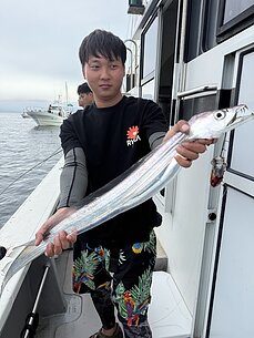 太刀魚のイメージ