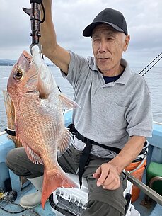 真鯛のイメージ