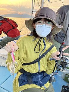 イイダコのイメージ