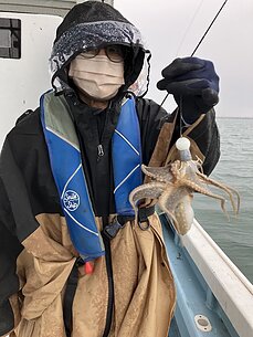 イイダコのイメージ