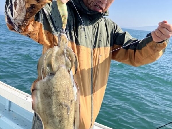 甲イカが釣れだしました！の画像