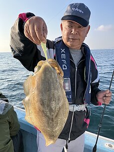 甲イカのイメージ