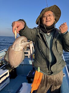 甲イカのイメージ