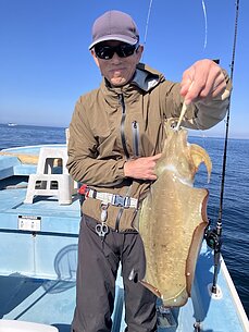 甲イカのイメージ