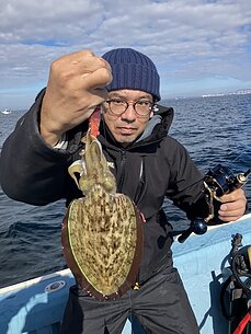 甲イカのイメージ