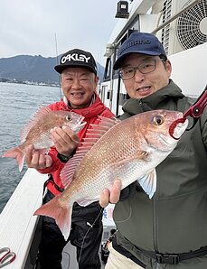 真鯛のイメージ