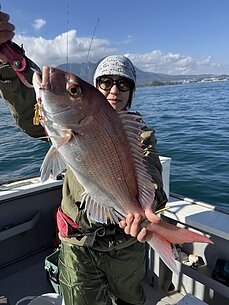 真鯛のイメージ